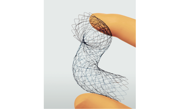 Gastro-Duodenal Stent JENTLLY NEO