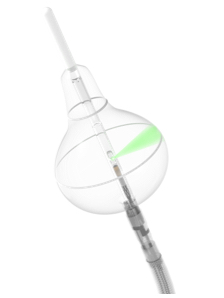 Endoscopic Balloon Ablation System